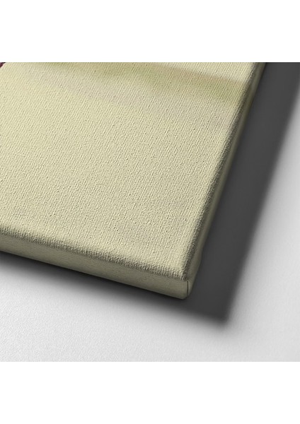 At Kanvas Tablo indirimleri