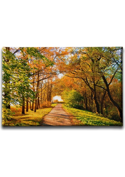 Sonbahar Manzara Tablo