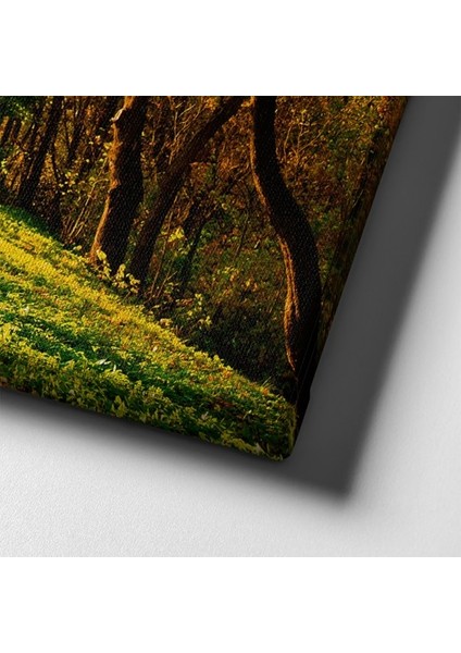 Sonbahar Manzara Tablo indirimleri