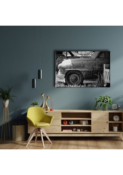 Klasik Bmw Canvas Tablo fiyatları