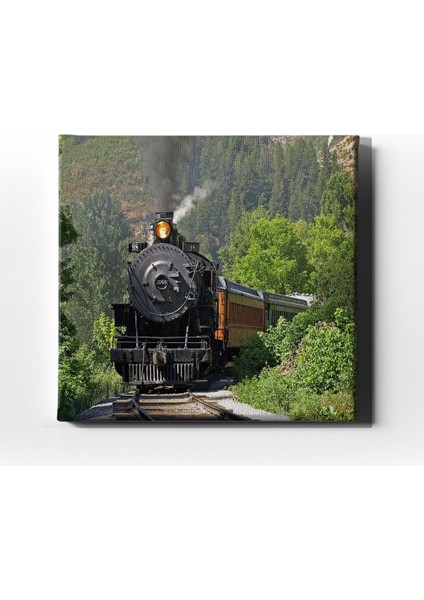 Kara Tren Canvas Tablo