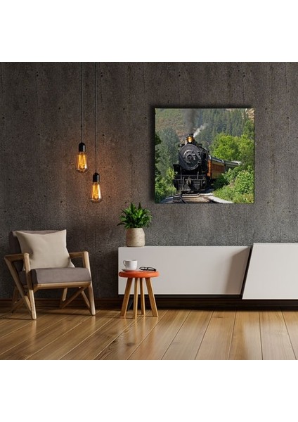 Kara Tren Canvas Tablo fiyatları