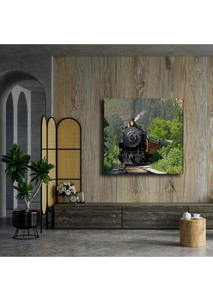 Kara Tren Canvas Tablo modelleri