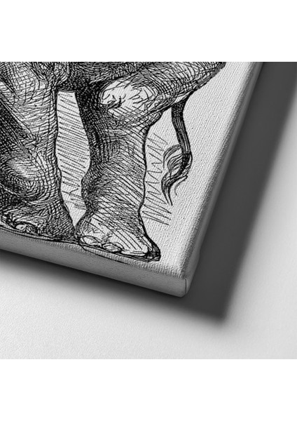 Fil Kanvas Tablo indirimleri