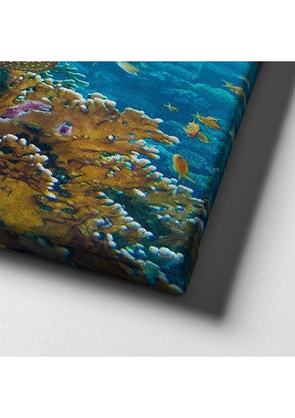 Balıklar Kanvas Tablo indirimleri