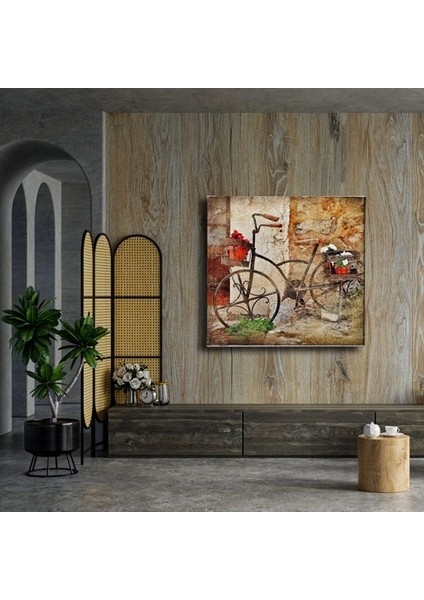 Bisiklet Kanvas Tablo modelleri