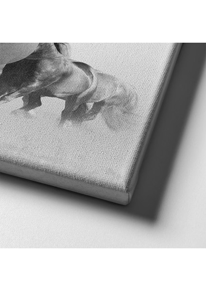 Atlar Kanvas Tablo indirimleri