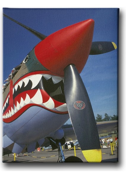 Köpekbalıklı Helikopter Canvas Tablo