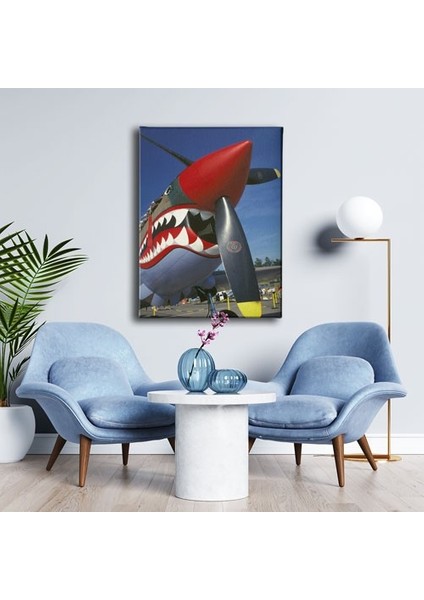 Köpekbalıklı Helikopter Canvas Tablo modelleri