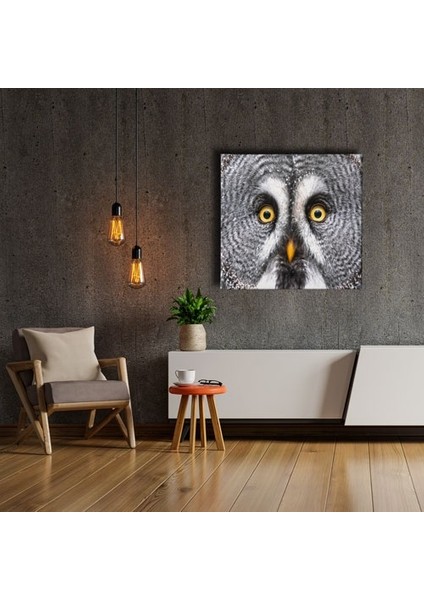 Peçeli Baykuş Kanvas Tablo fiyatları