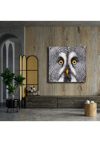 Peçeli Baykuş Kanvas Tablo modelleri