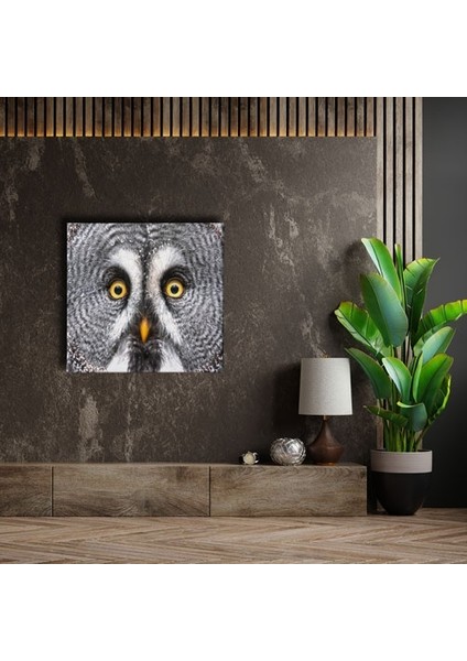 Peçeli Baykuş Kanvas Tablo fırsatları