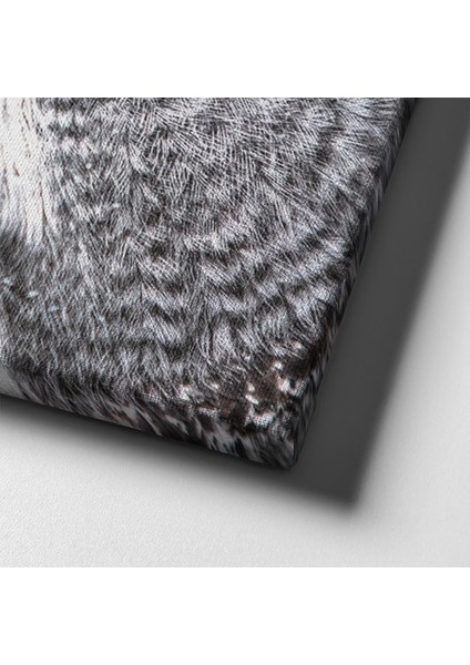 Peçeli Baykuş Kanvas Tablo indirimleri