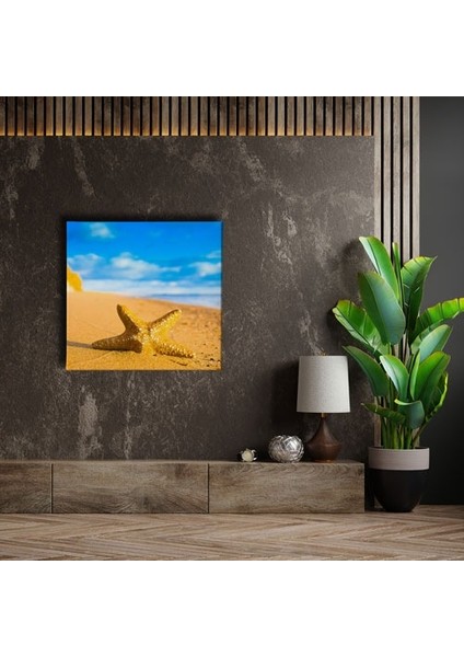 Deniz Yıldızı Canvas Tablo fırsatları