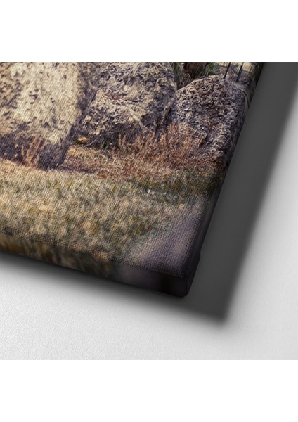 Kırmızı Porsche Canvas Tablo indirimleri