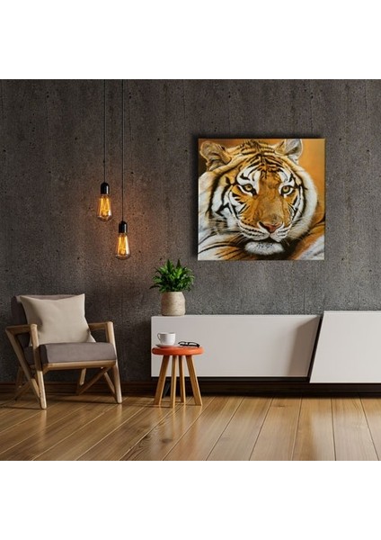 Kaplan Kanvas Tablo fiyatları