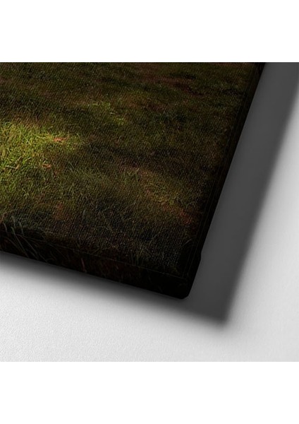 Klasik Kırmızı Araba Canvas Tablo indirimleri