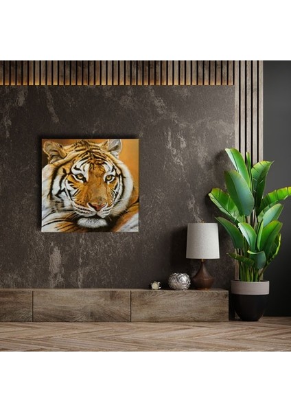 Kaplan Kanvas Tablo fırsatları