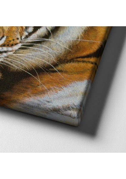 Kaplan Kanvas Tablo indirimleri