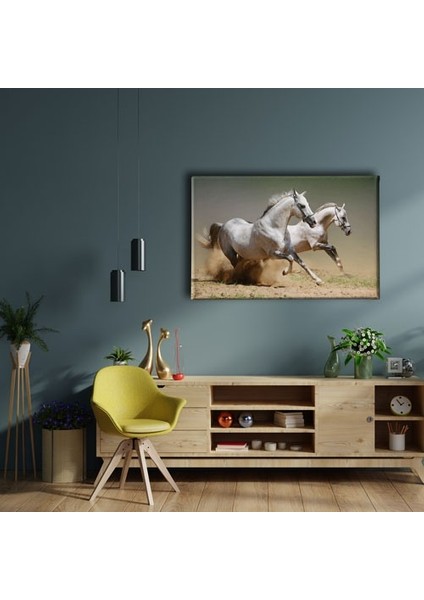 Kedi Kanvas Tablo fiyatları