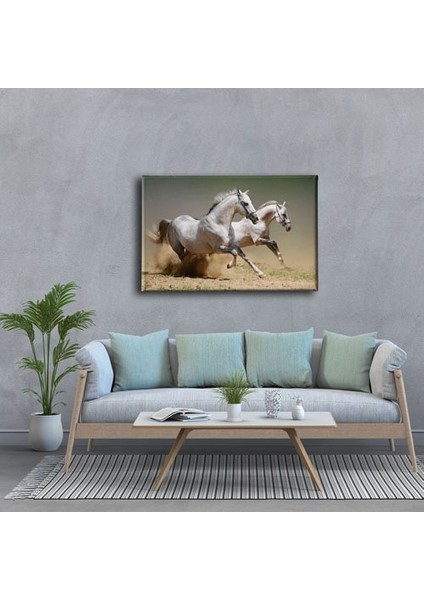 Kedi Kanvas Tablo modelleri