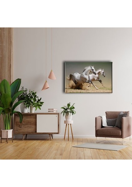 Kedi Kanvas Tablo fırsatları