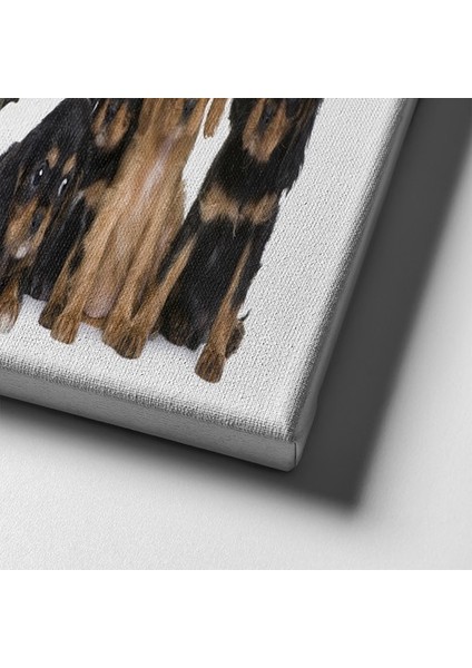 Köpekler Panoramik Kanvas Tablo indirimleri