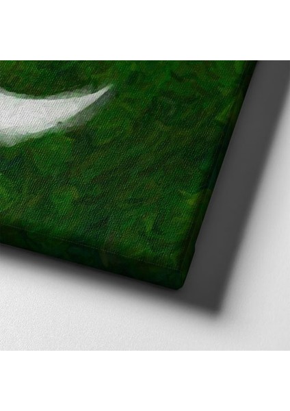 Pakistan Bayrağı Kanvas Tablo indirimleri