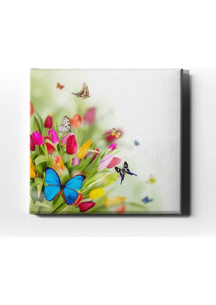Kelebek Kanvas Tablo
