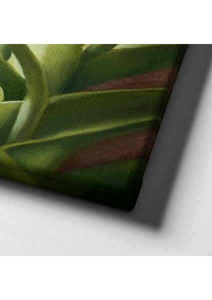 Lale Kanvas Tablo indirimleri