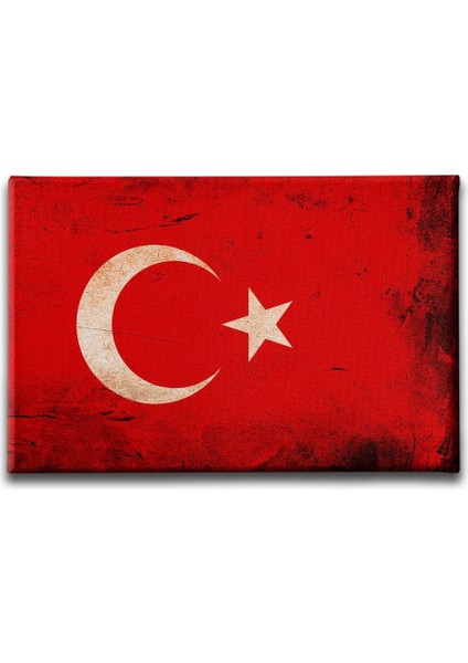 Türk Bayrağı Kanvas Tablo