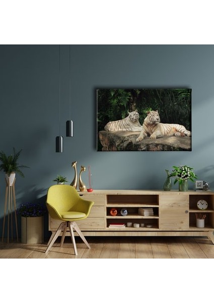 Kaplan Kanvas Tablo fiyatları