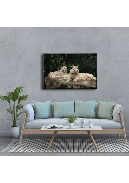 Kaplan Kanvas Tablo modelleri