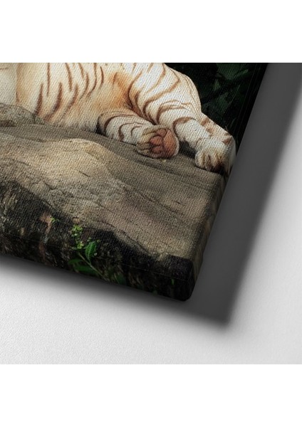 Kaplan Kanvas Tablo indirimleri