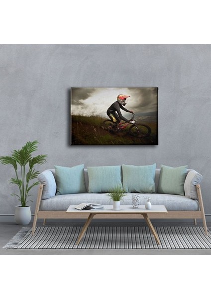 Dağ Bisikleti Tablo modelleri