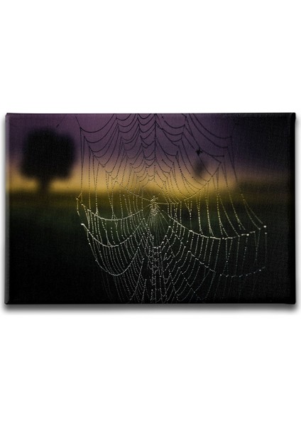 Örümcek Ağı Kanvas Tablo