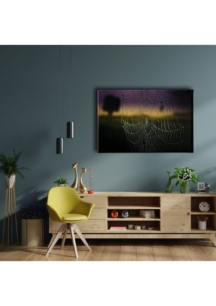 Örümcek Ağı Kanvas Tablo fiyatları