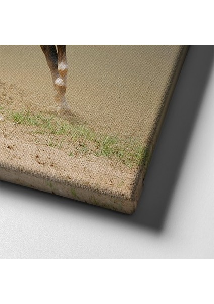 Kedi Kanvas Tablo indirimleri