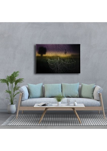 Örümcek Ağı Kanvas Tablo modelleri