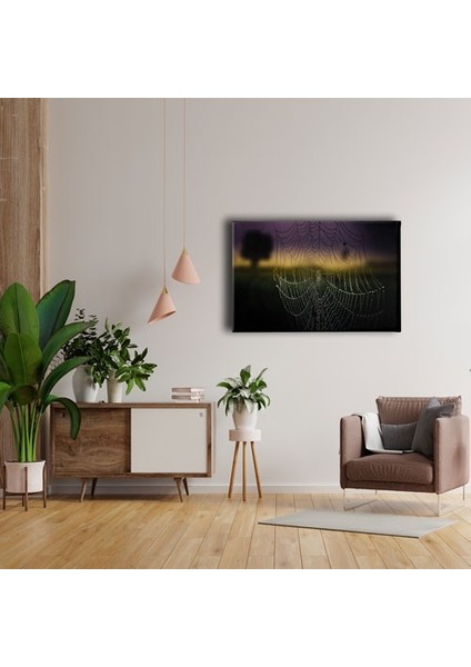 Örümcek Ağı Kanvas Tablo fırsatları