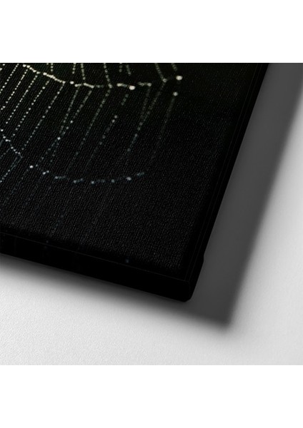 Örümcek Ağı Kanvas Tablo indirimleri