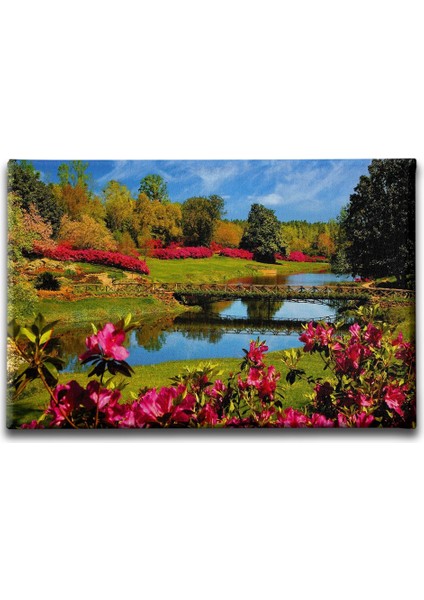 Ilkbahar Manzara Tablo