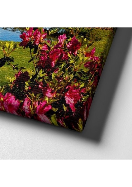 Ilkbahar Manzara Tablo indirimleri