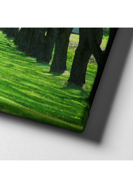 Doğa Manzara Tablo indirimleri