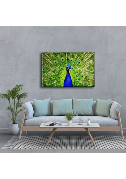 Beyaz Kedi Kanvas Tablo modelleri