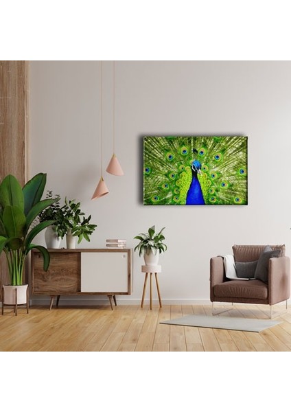 Beyaz Kedi Kanvas Tablo fırsatları