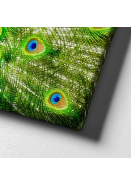 Beyaz Kedi Kanvas Tablo indirimleri