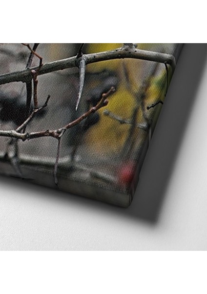 Sincap Kanvas Tablo indirimleri