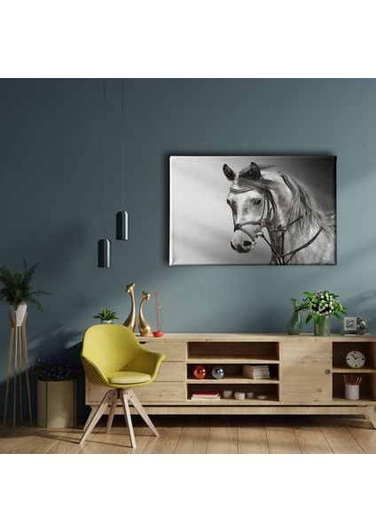 Beyaz At Kanvas Tablo fiyatları