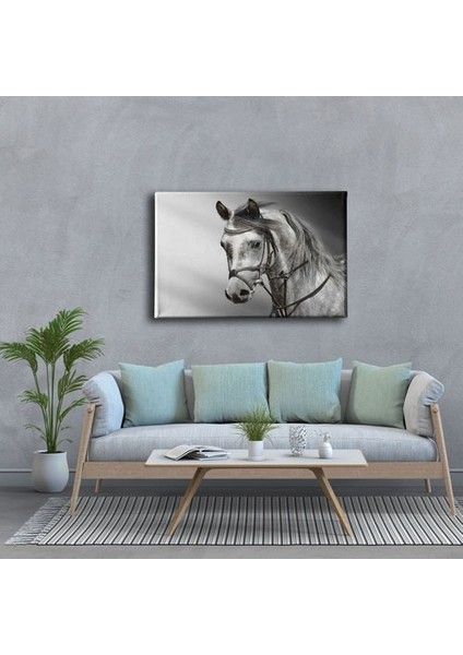 Beyaz At Kanvas Tablo modelleri